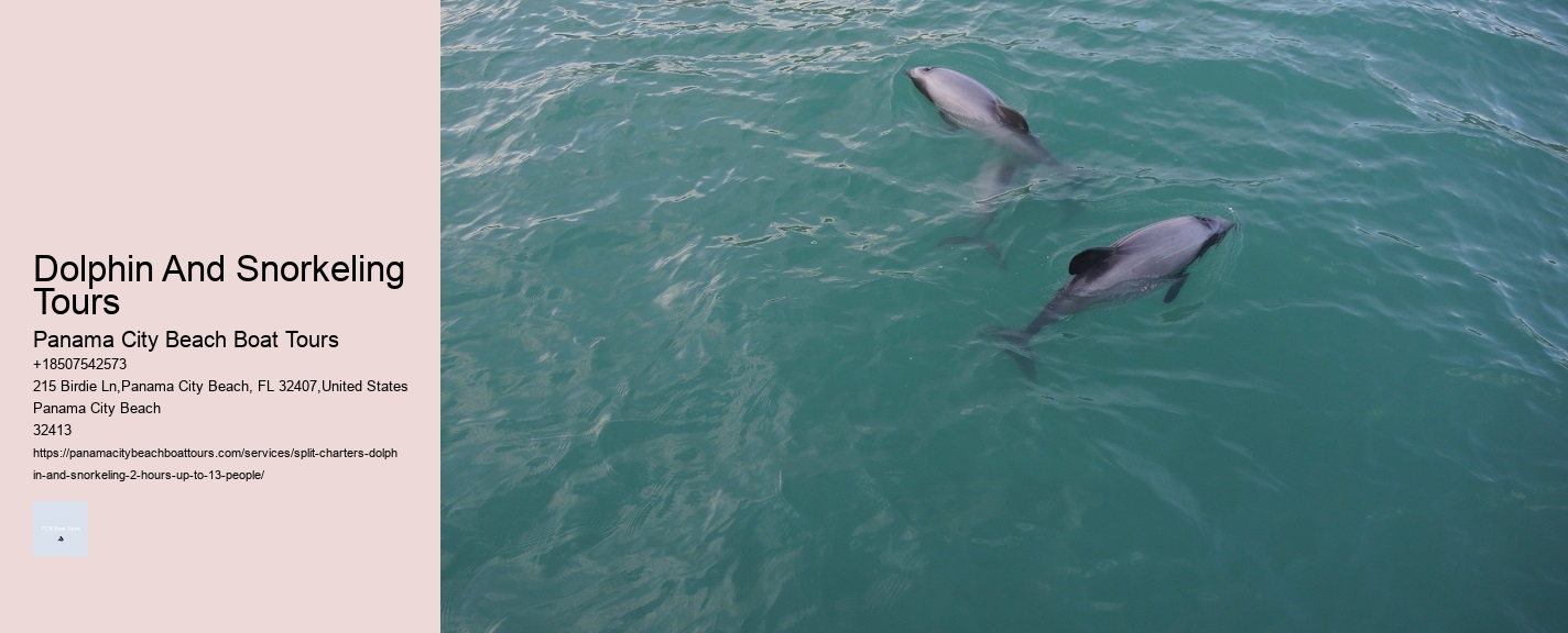 Dolphin And Snorkeling Tours