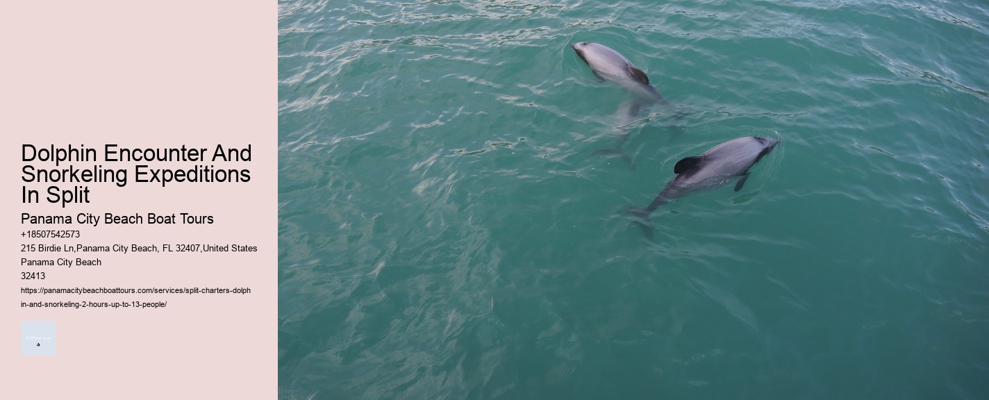 Dolphin Encounter And Snorkeling Expeditions In Split