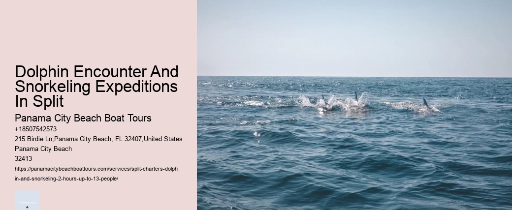 Dolphin Cruise Panama