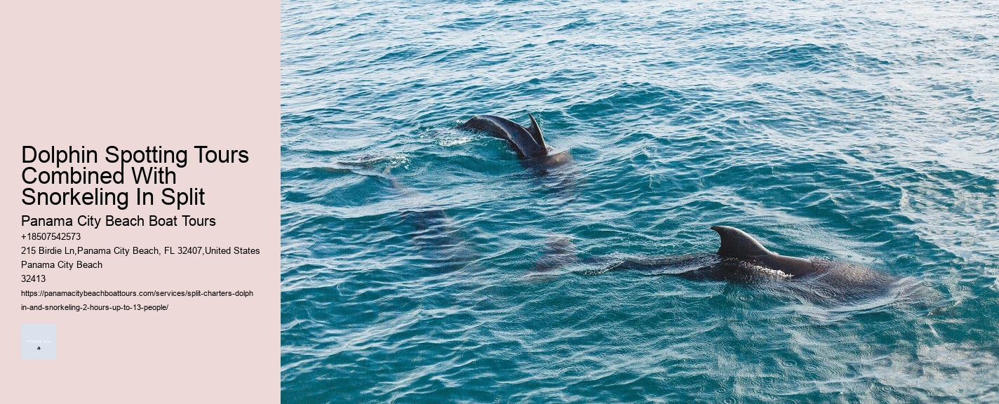 Dolphin Spotting Tours Combined With Snorkeling In Split