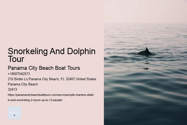 Snorkeling And Dolphin Tour