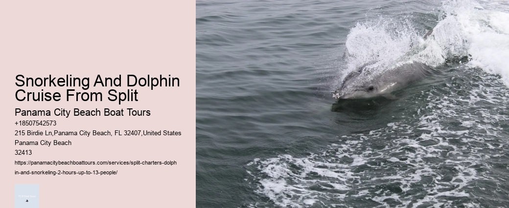 Split Budget-friendly Dolphin Snorkeling Excursions