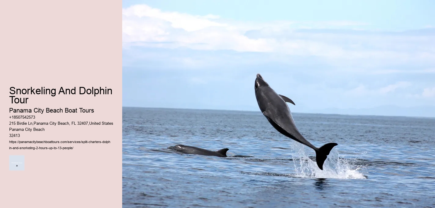 Dolphins Are Bullies: 7 Shocking Reasons Why