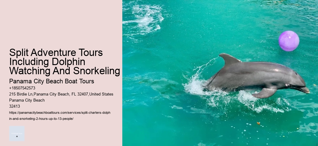 Split Luxury Snorkeling And Dolphin Experiences