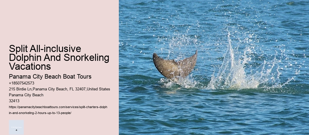 Split All-inclusive Dolphin And Snorkeling Vacations