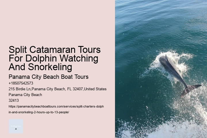 Split Off-the-beaten-path Dolphin And Snorkeling Tours